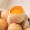 黄天鹅可生食鸡蛋 商品缩略图3