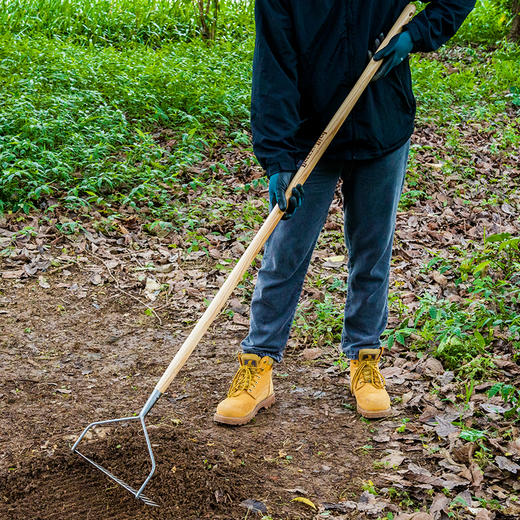 Berry&Bird女士土耙 商品图4