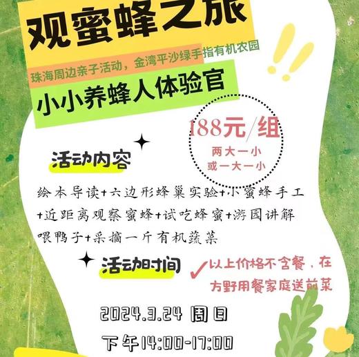 观察蜜蜂活动 | 农园活动 *  Observe Bee Activity | Farm activities 商品图3