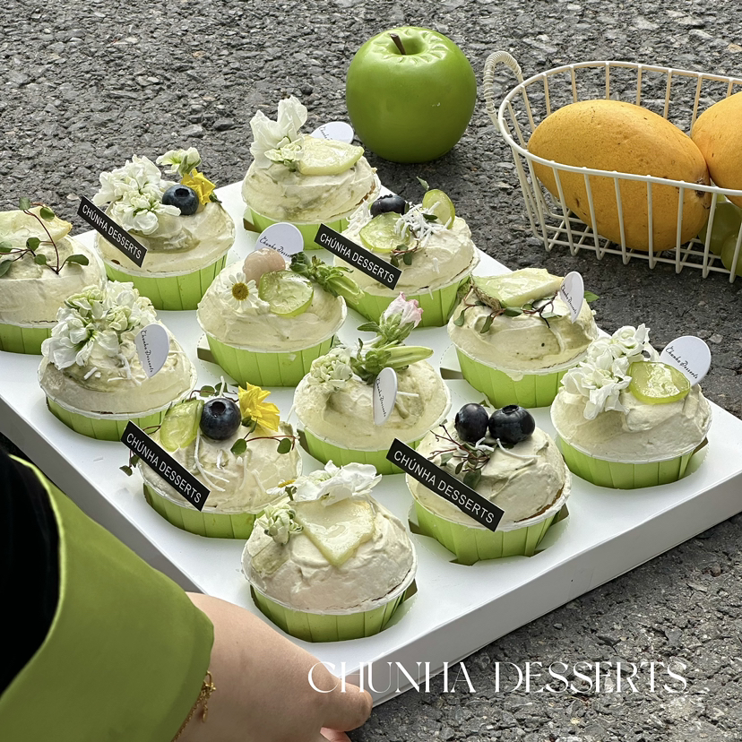 春日来信(团购)