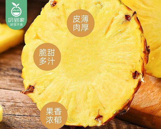 海南树熟金钻凤梨（1.1kg±100g/个） 商品图1