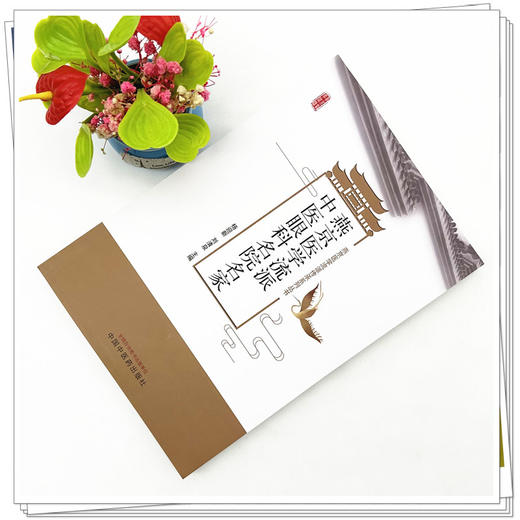 燕京医学流派中医眼科名院名家 杨迎新 刘清泉 主编 中国中医药出版社 商品图2