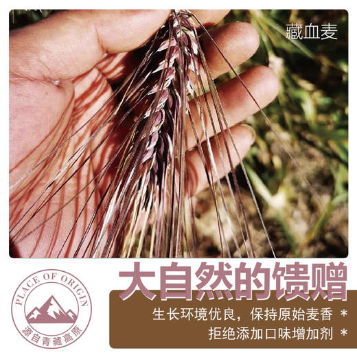 【下单后48小时发货】青海 有机藏血麦片550g/瓶 商品图9