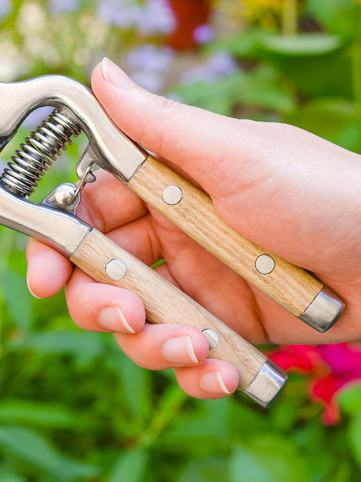 Berry&Bird复古修枝剪 商品图1