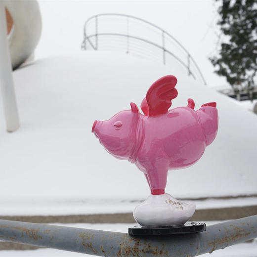 《飞向幸福》秦玮鸿36*32*18cm 商品图3