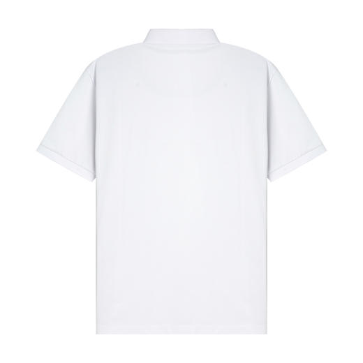 【断码清仓】HX 夏季翻领短袖T恤Y102320315101POLO杉 商品图1