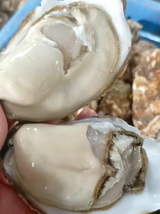 乳山大生蚝，包活包邮到家！口感巨嫩巨鲜！！ 商品图3