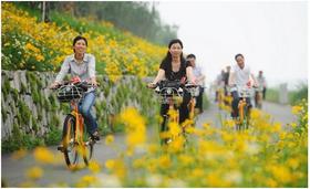  春季过敏十面埋伏，除了防风邪，还应补肺气，警惕6大过敏原！