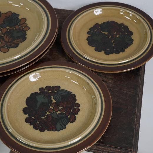 芬兰Arabia山竹Otso系列餐盘 商品图6