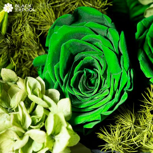 （仅深圳配送）【白羊座永生守护花】要大笑，要做梦，要与众不同 商品图2