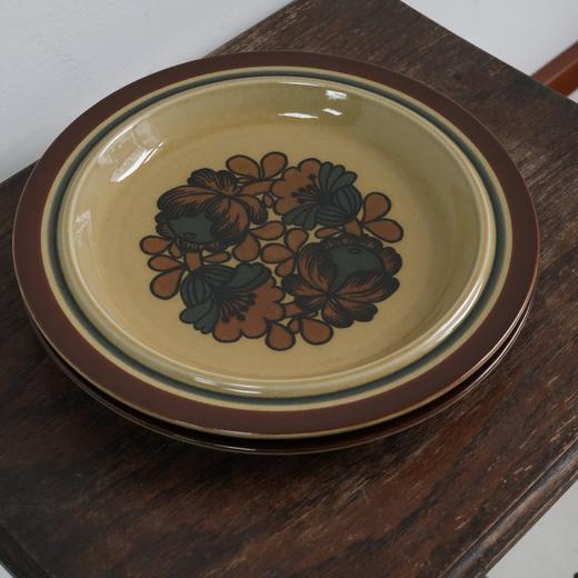 芬兰Arabia山竹Otso系列餐盘 商品图3