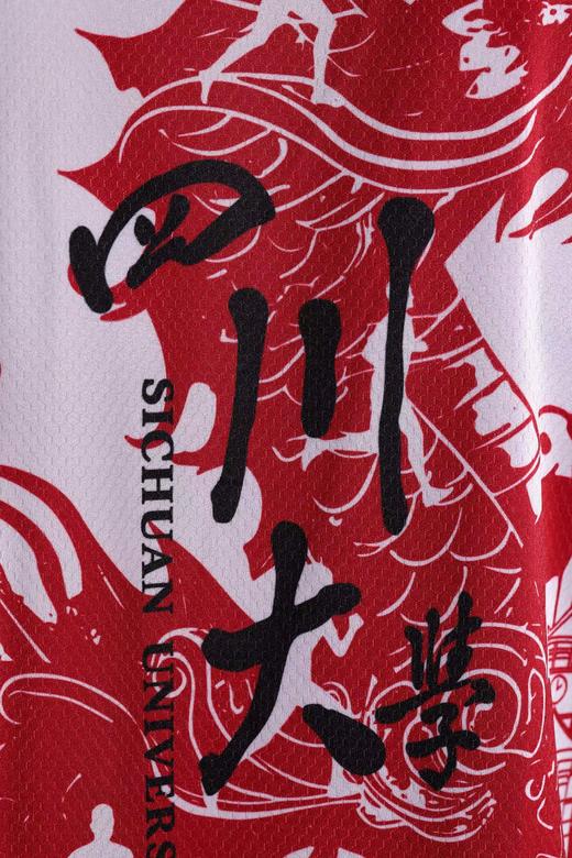 [现货]四川大学校友跑团 2024熊猫村神龍大侠帽衫专用链接 商品图6