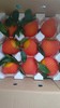 四川耙耙柑应季橙子现摘果冻橙5斤/8斤新鲜水果 商品缩略图1