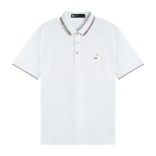【秒杀专属】HX 夏季翻领短袖T恤Y102320349101/02POLO杉 商品图2