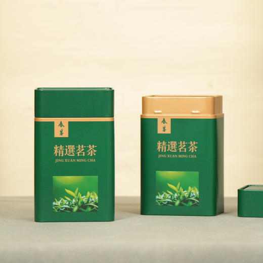 春芽【茗茶中长方 • 二两半 •绿】2.5元 一个/一件180个 商品图0