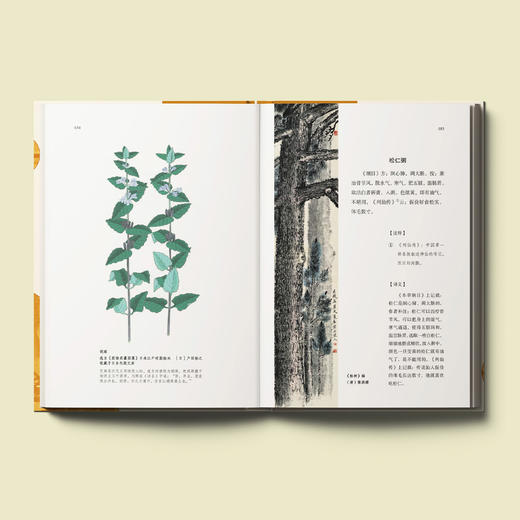 《粥谱：附素食说略》 商品图2