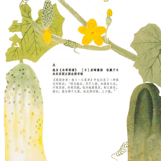 《粥谱：附素食说略》 商品图10