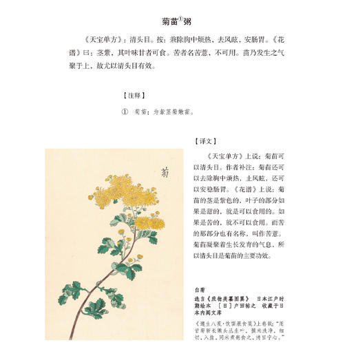 《粥谱：附素食说略》 商品图8