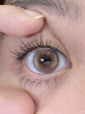 loveiikira半年抛美瞳 花语 14.2mm