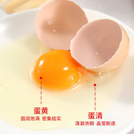 【荆楚印象】富硒谷物虫草鲜鸡蛋±50g*50枚/箱 商品图4