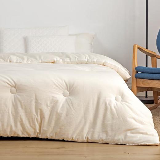 安竹堂抗菌水洗棉被芯1000g 200*230cm 商品图0