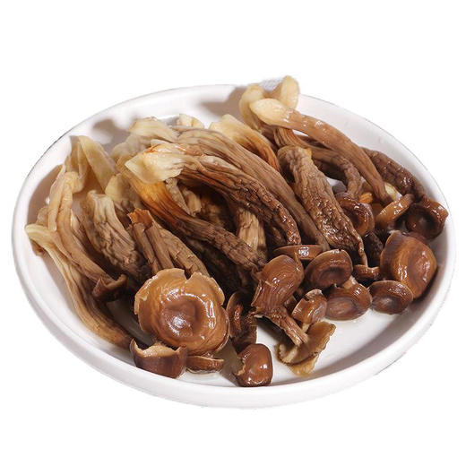 【登真缘】鹿茸菇100g/瓶 商品图2