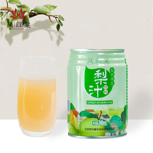 【健康饮料】凤归巢 梨苦得乐 梨汁饮料 240ml/罐*6罐 果汁饮品 商品图3