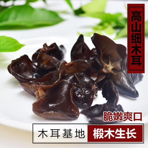 【干木耳】 青川县细木耳180g无根秋木耳干菌子干货菌菇食堂食材 商品图2