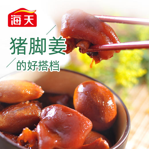 海天添丁甜醋1.9L黑米醋搭配猪脚姜美食 商品图2