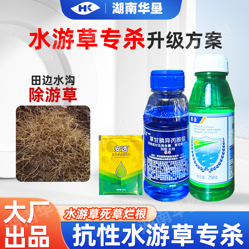 水游草专杀方案高效氟吡甲禾灵稻李氏禾草甘膦游草芦苇茅草除草剂