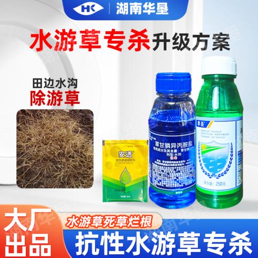 水游草专杀方案高效氟吡甲禾灵稻李氏禾草甘膦游草芦苇茅草除草剂 商品图0