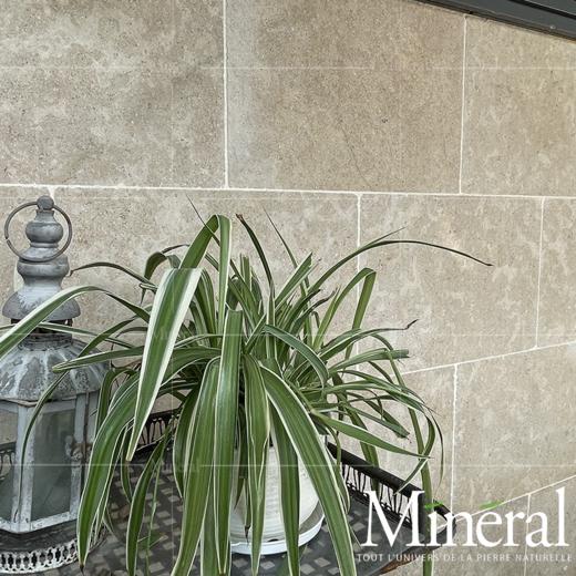 珍贝米黄自由长 商品图2