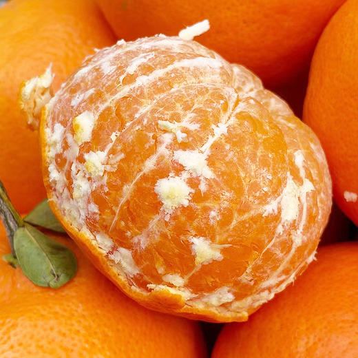 四川·明日见柑橘 商品图1