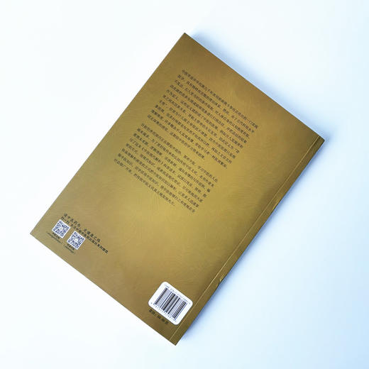 正版 现货 【出版社直销】 中医现代解析 林波 著 中国中医药出版社 中医基本概念解析.经络辩证.五脏解析.辩证方法. 商品图2