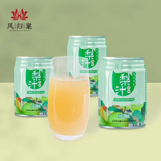 【健康饮料】凤归巢 梨苦得乐 梨汁饮料 240ml/罐*6罐 果汁饮品 商品图4