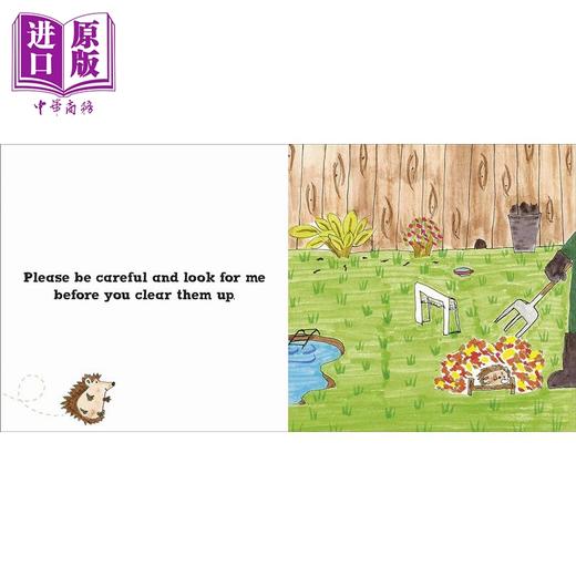 【中商原版】DK绘本4册 英文原版 儿童动物科普故事绘本 知识百科图画书 精装进口 黄蜂罗茜 护林鸟罗里 蝴蝶罗西 刺猬罗利 商品图2