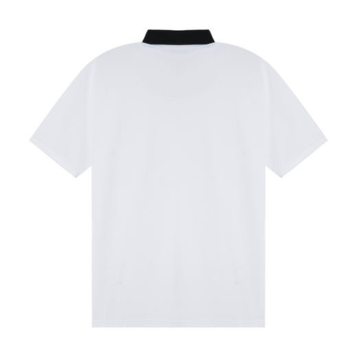 HX 夏季翻领短袖T恤POLO衫桑蚕丝珠地/Y102320350101/02POLO杉 商品图3