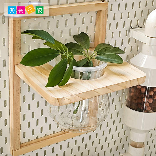 幼儿园绿植墙挂 商品图3