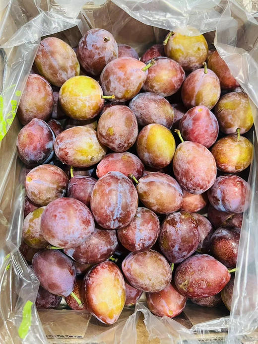 智利进口西梅，嘎嘎甜，一份2斤 商品图1