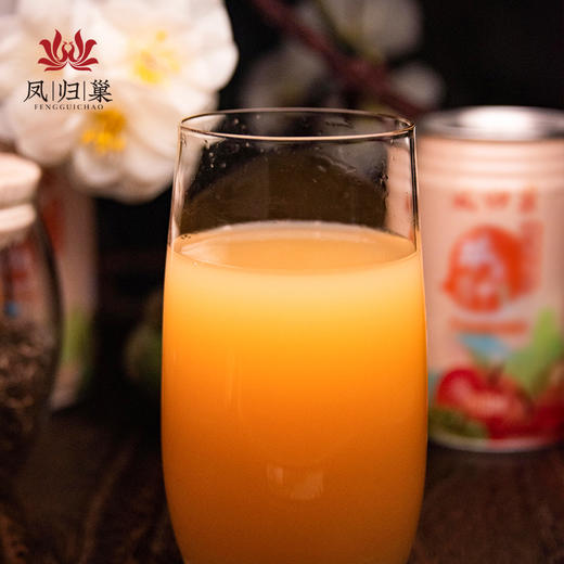 【包装升级】凤归巢 苹安吉祥 苹果汁饮料 果蔬汁饮料  240ml*6罐 商品图5