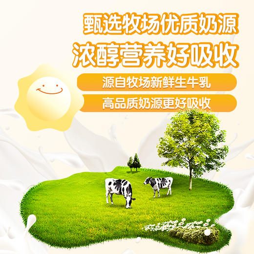 贝斯美益生菌酸奶溶豆20g（原味） 商品图4