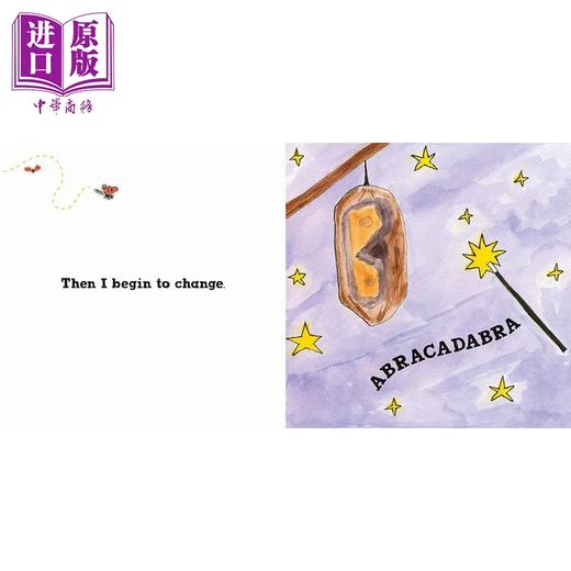 【中商原版】DK绘本4册 英文原版 儿童动物科普故事绘本 知识百科图画书 精装进口 黄蜂罗茜 护林鸟罗里 蝴蝶罗西 刺猬罗利 商品图3