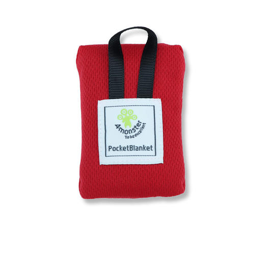 户外【超薄口袋野餐垫】防水防沙 超轻折叠便携防潮垫 海边沙滩垫地垫毯席子 国庆出游野营露营 商品图4