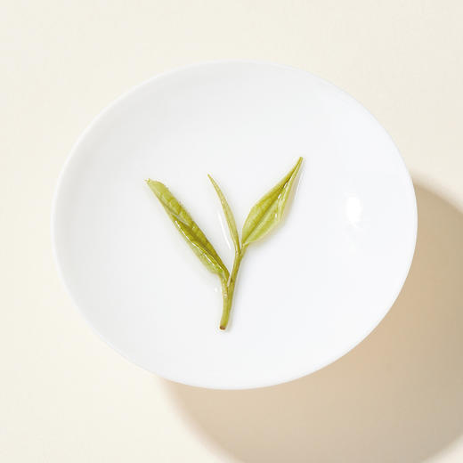【2026年新茶】卢正浩明前特级安吉白茶绿茶茶叶纸包100克绿茶茶叶 商品图4