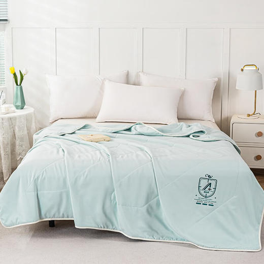 多喜爱（Dohia）A类超柔抗菌夏被-贝尔斯 商品图1