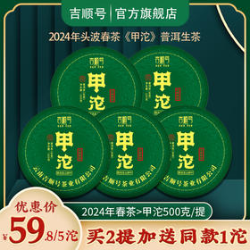2024春茶-南糯山春茶《甲沱》生茶沱茶100克*5沱 买2提送1沱