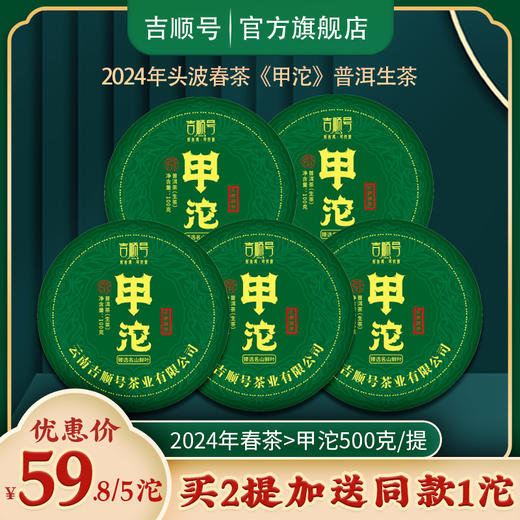 2024春茶-南糯山春茶《甲沱》生茶沱茶100克*5沱 买2提送1沱 商品图0