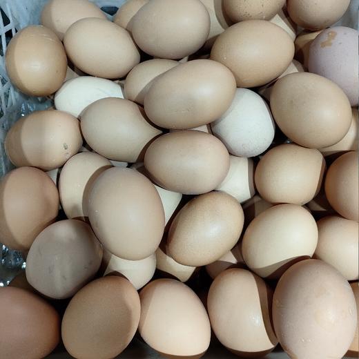 大黄鲜鸡蛋 商品图0