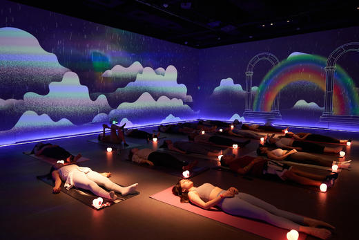 EX-125 种子的专注 Purna 苗 商品图2