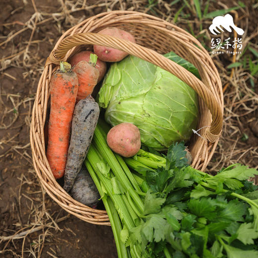 生态丰产蔬菜箱(一件包邮）| 绿家自产*ecological eafy vegetables | Self-production 商品图2